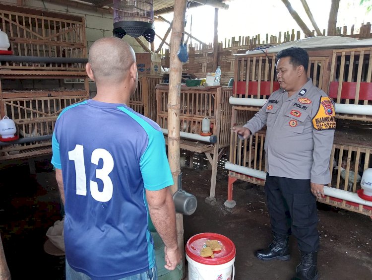 Tinjau Pekarangan Unggas, Polsek Tulangan Optimalkan Ketahanan Pangan Bergizi Lewat P2B di Desa Kepunten